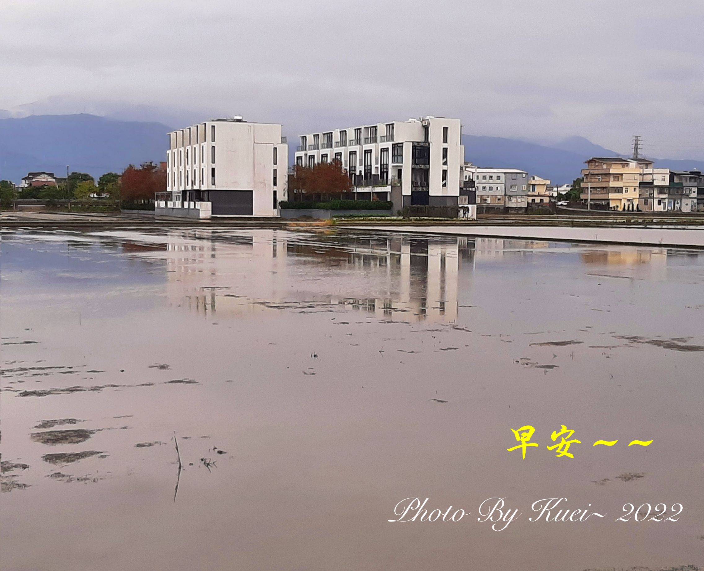 林於貴早安作品20220112.jpg