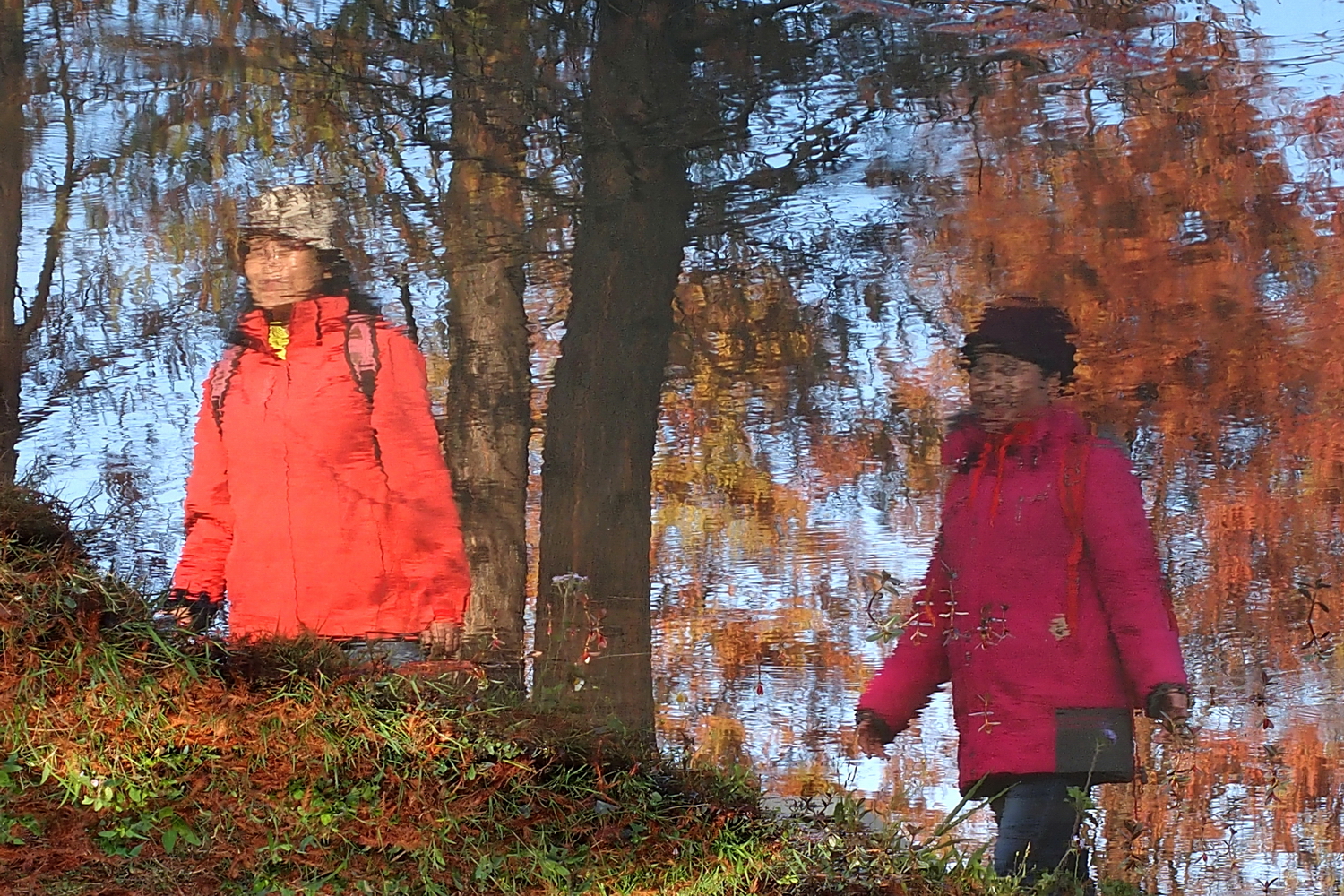 健行旅遊隨拍_20220111g.jpg