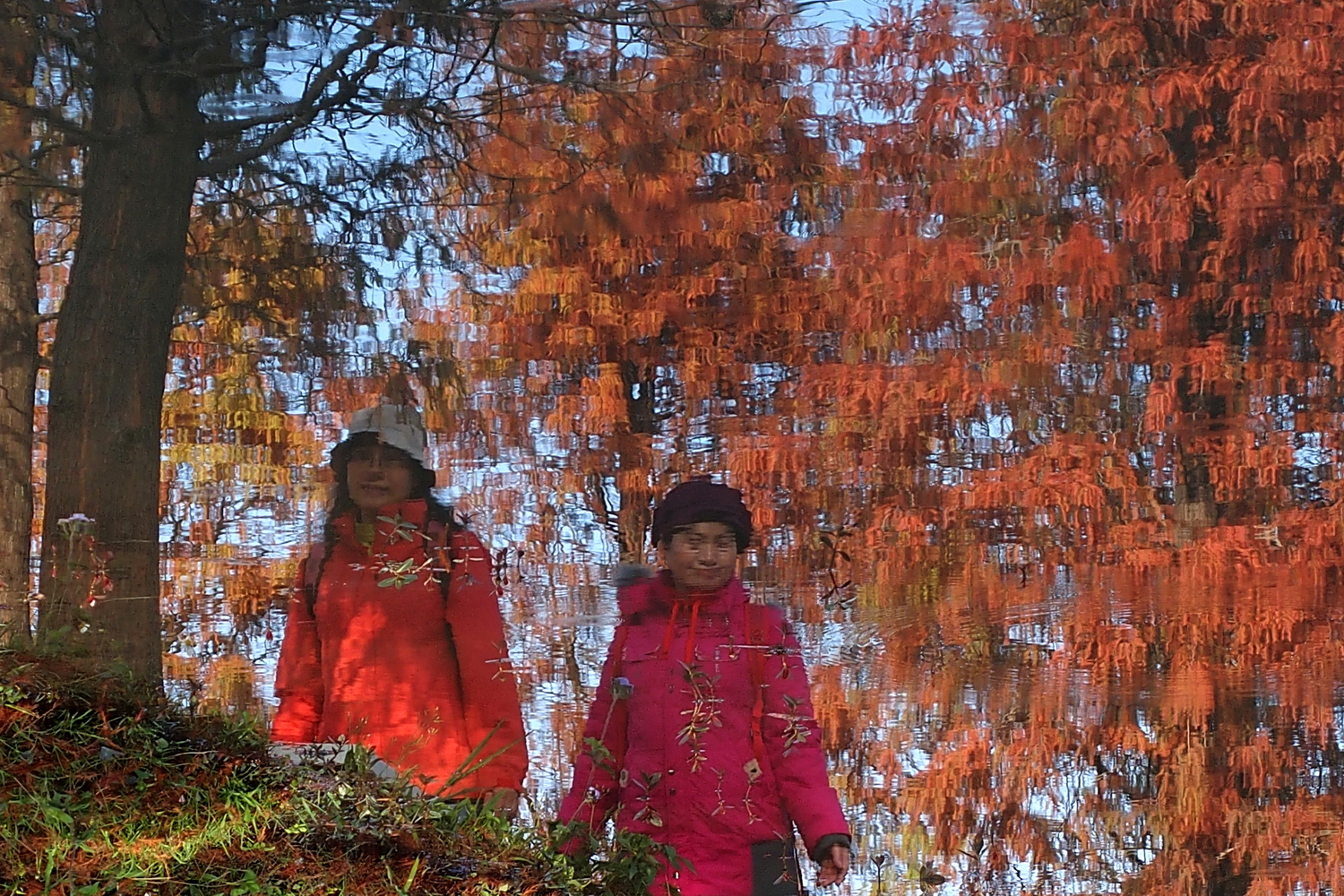 健行旅遊隨拍_20220111a.jpg