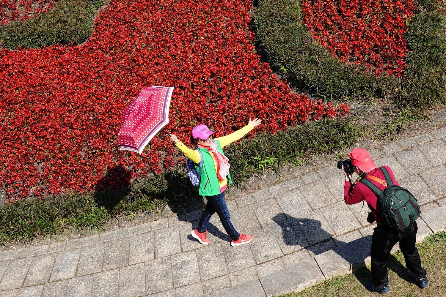 健行旅遊隨拍_20220111l.jpg