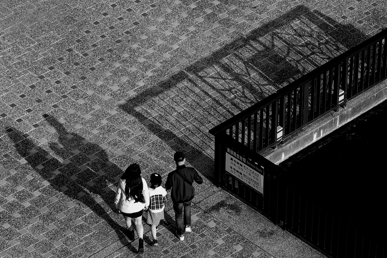 健行旅遊隨拍_20220111s.jpg