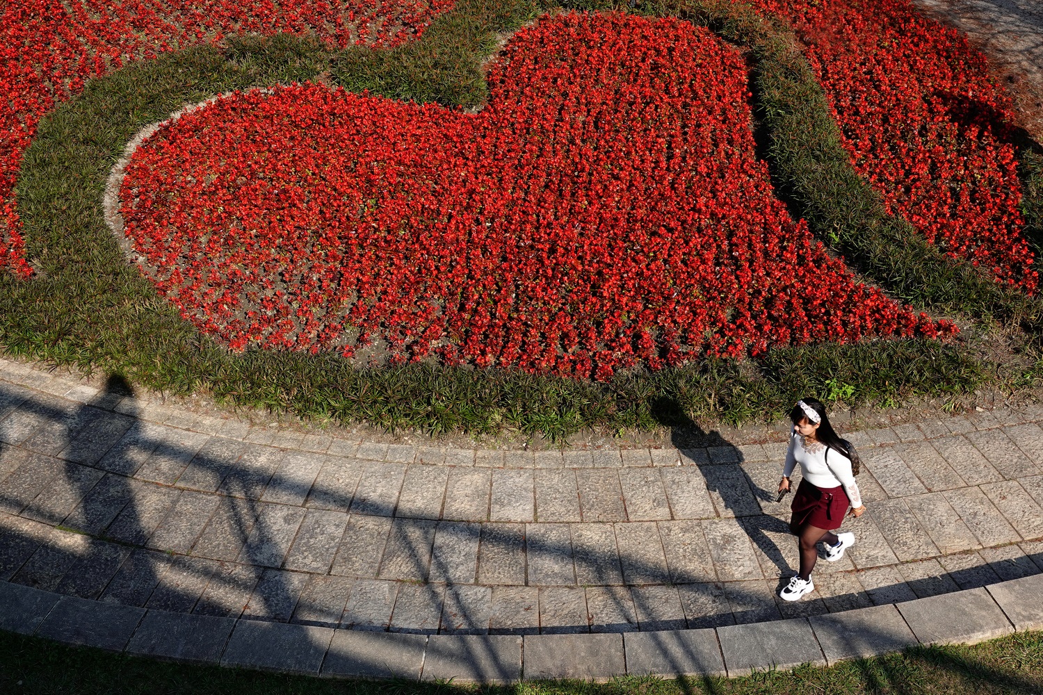 健行旅遊隨拍_20220111q.jpg