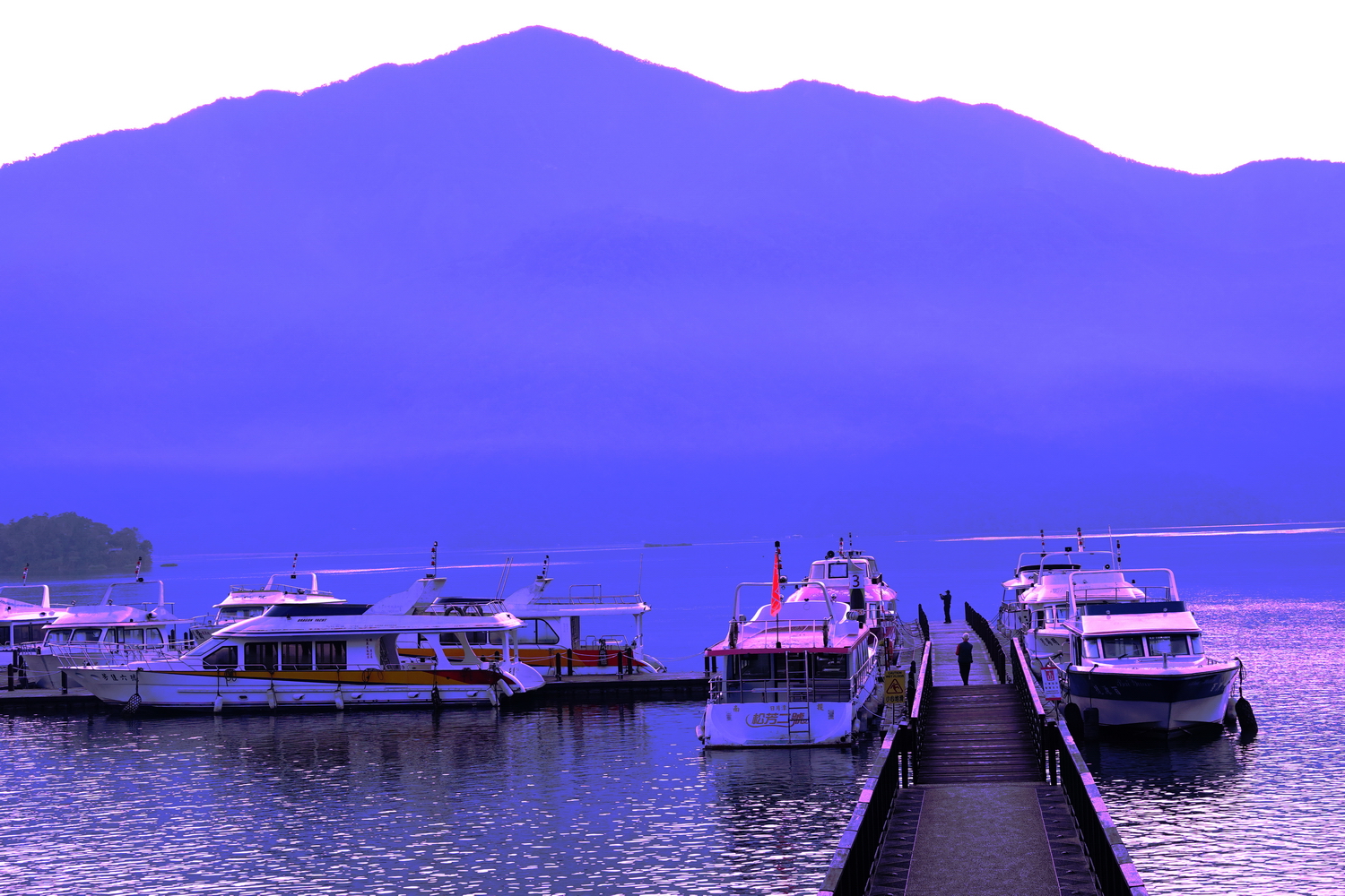 健行旅遊隨拍_20220113k.jpg