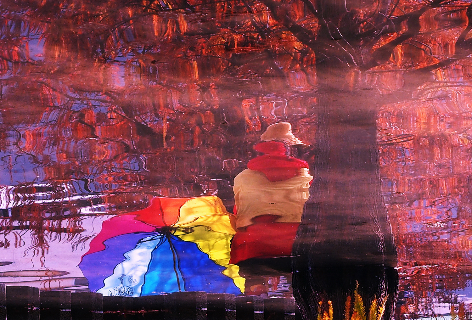 健行旅遊隨拍_20220114b.jpg