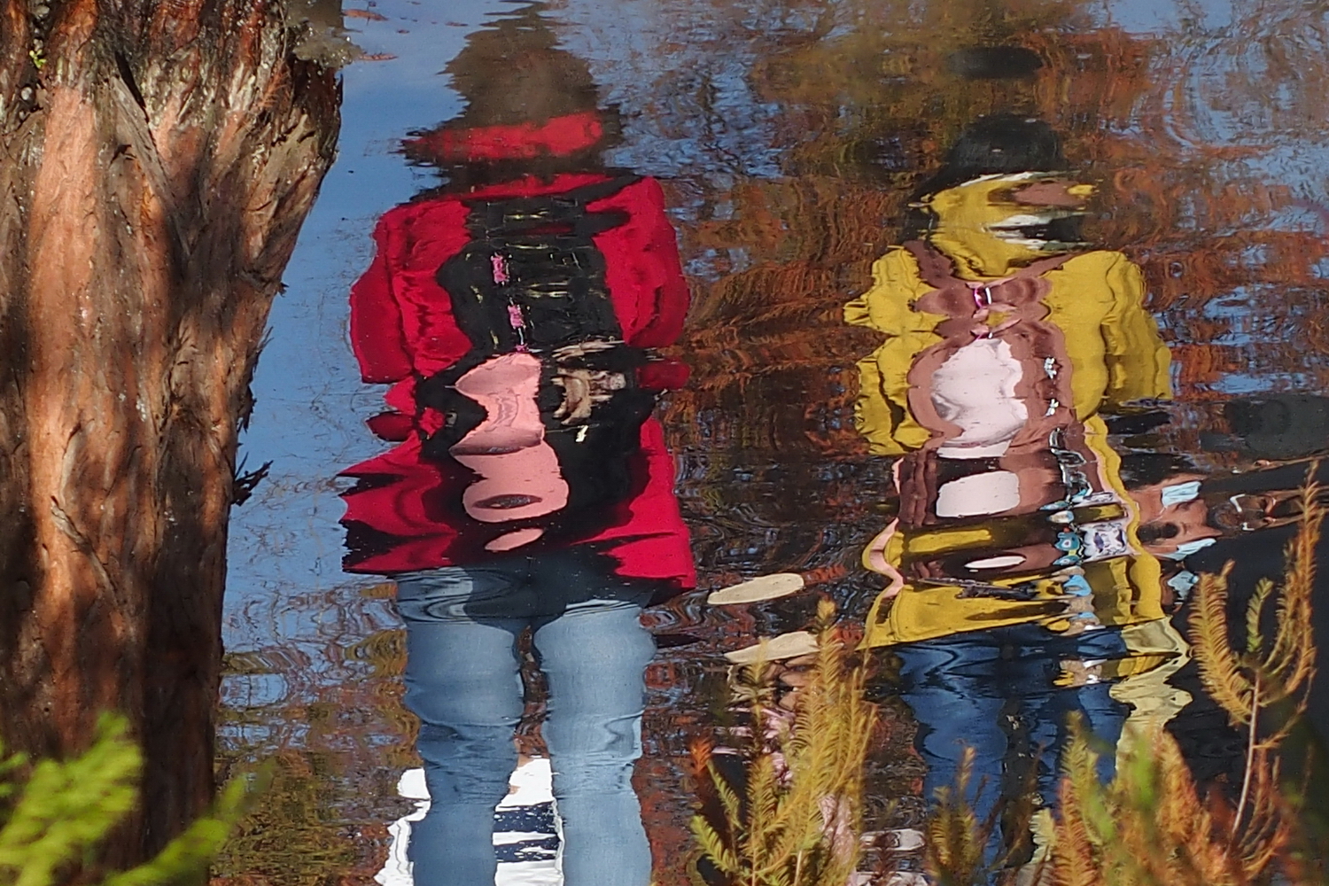 健行旅遊隨拍_20220114m.jpg
