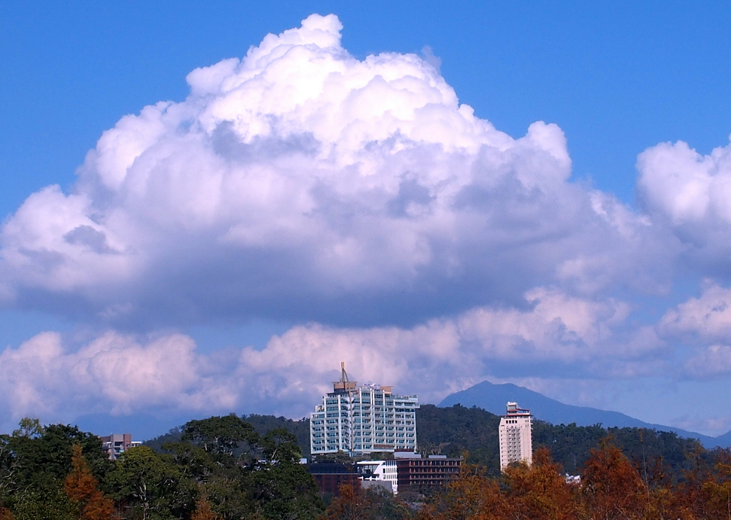 健行旅遊隨拍_20220114p.jpg