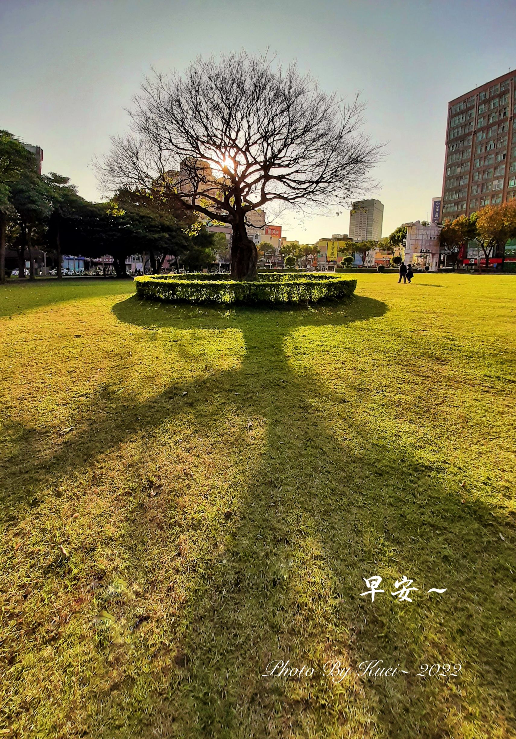 林於貴早安作品20220117.jpg