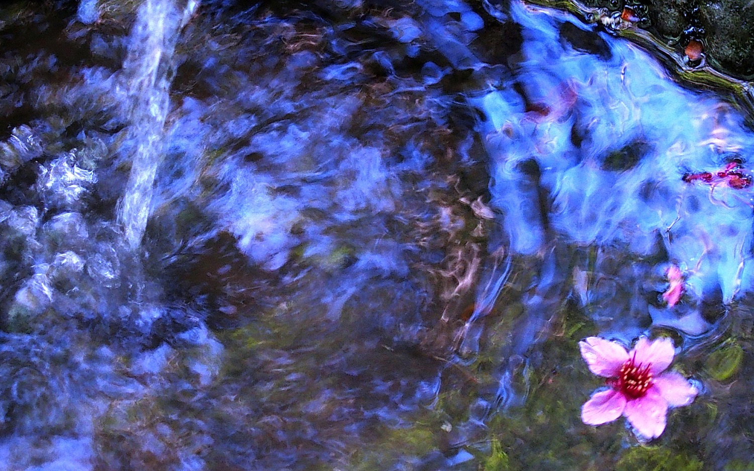 陳永鑑梅櫻桃花作品20220112q.jpg