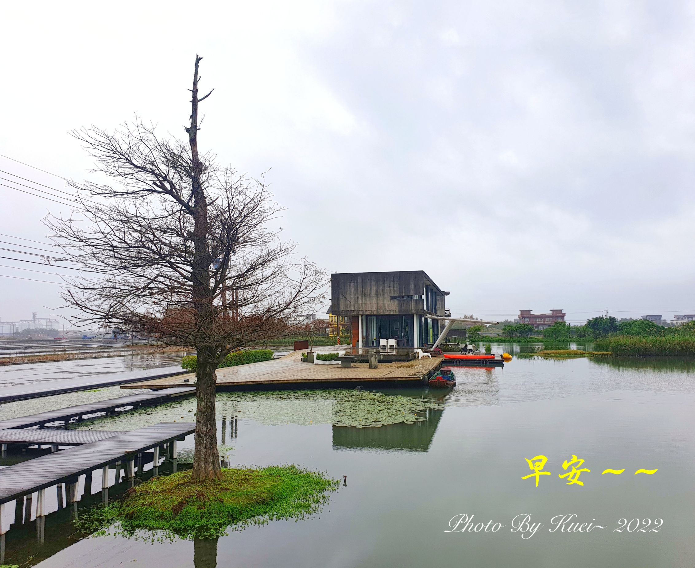 林於貴早安作品20220127.jpg