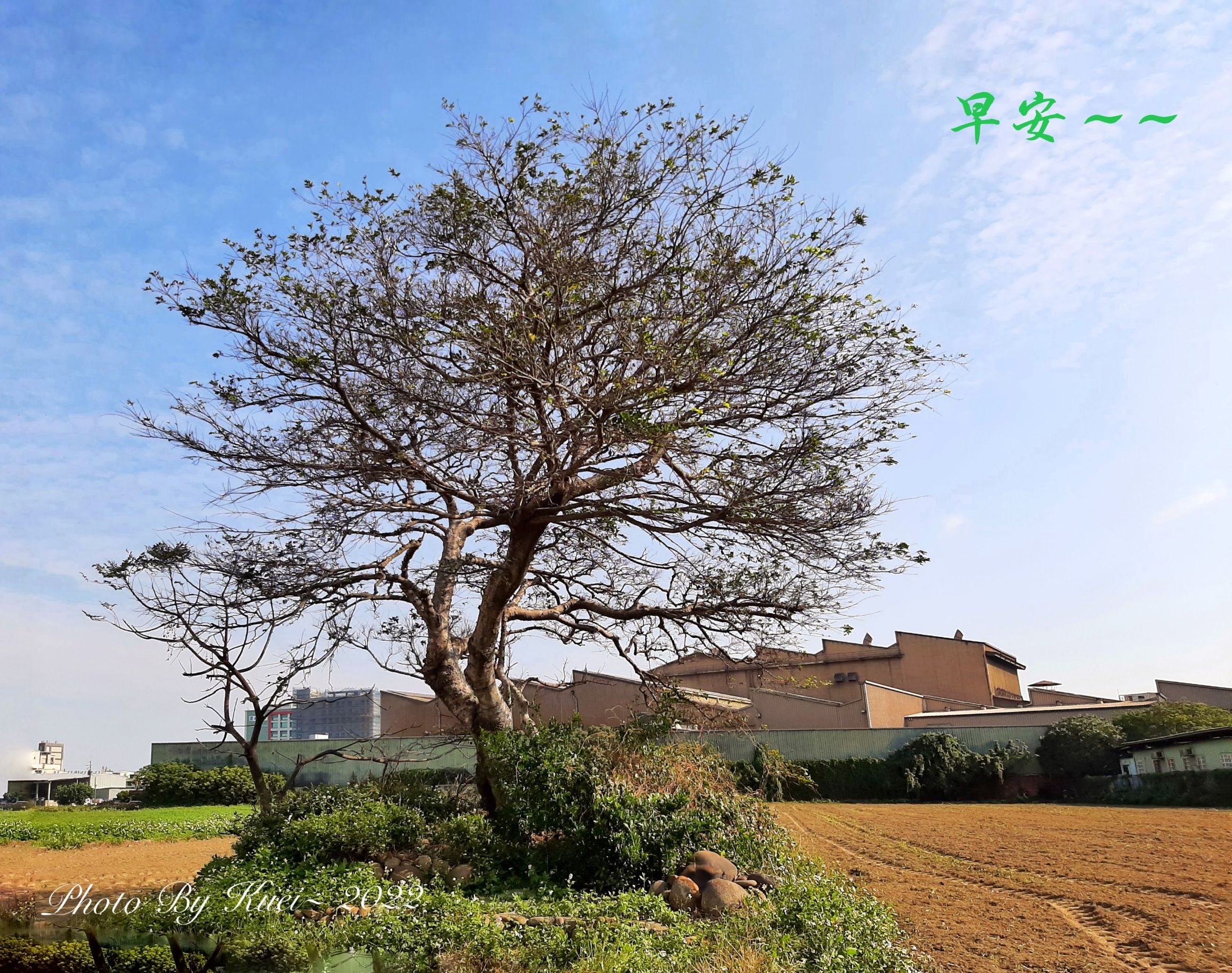 林於貴早安作品20220209.jpg