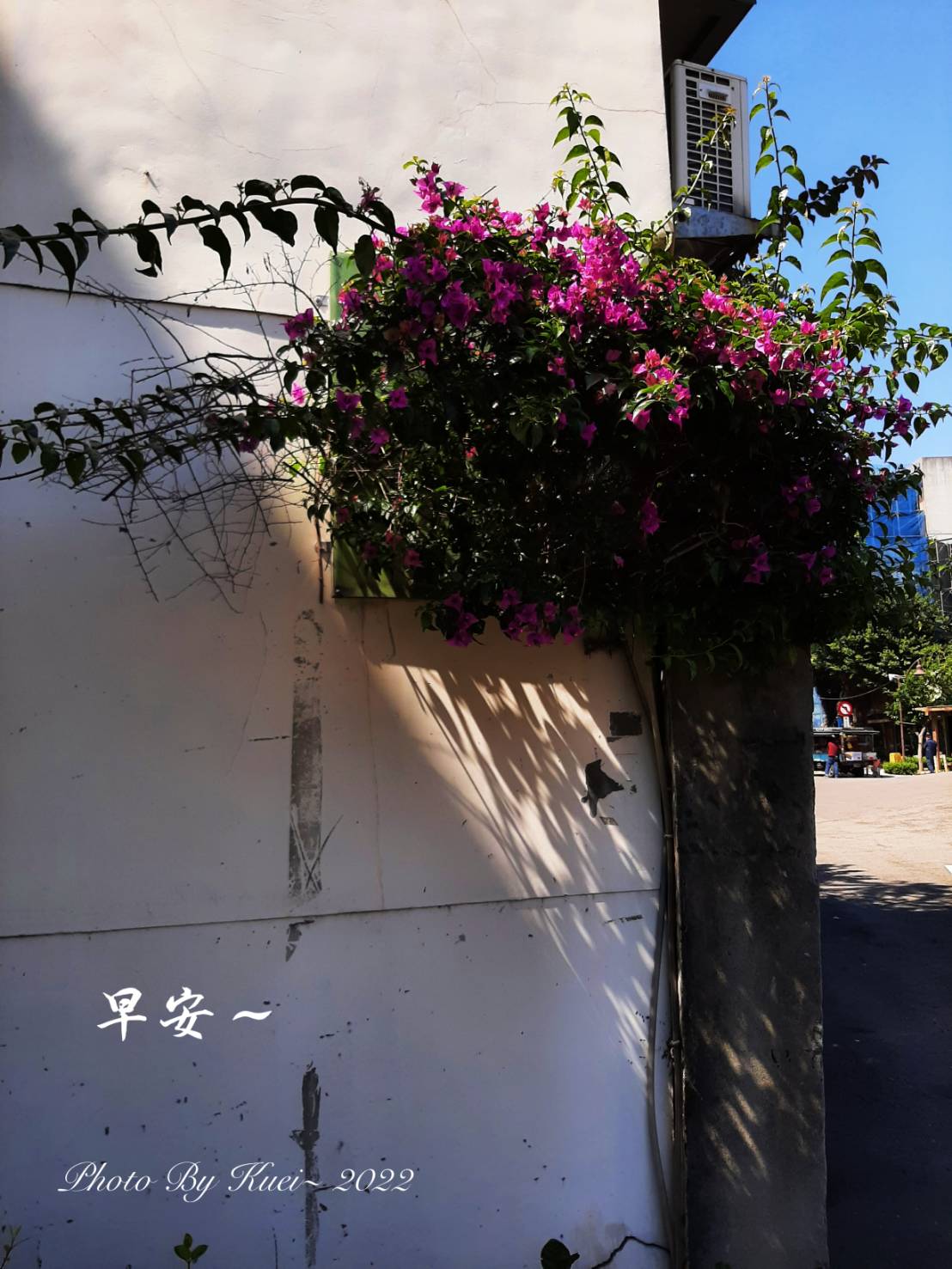 林於貴早安作品20220319.jpg