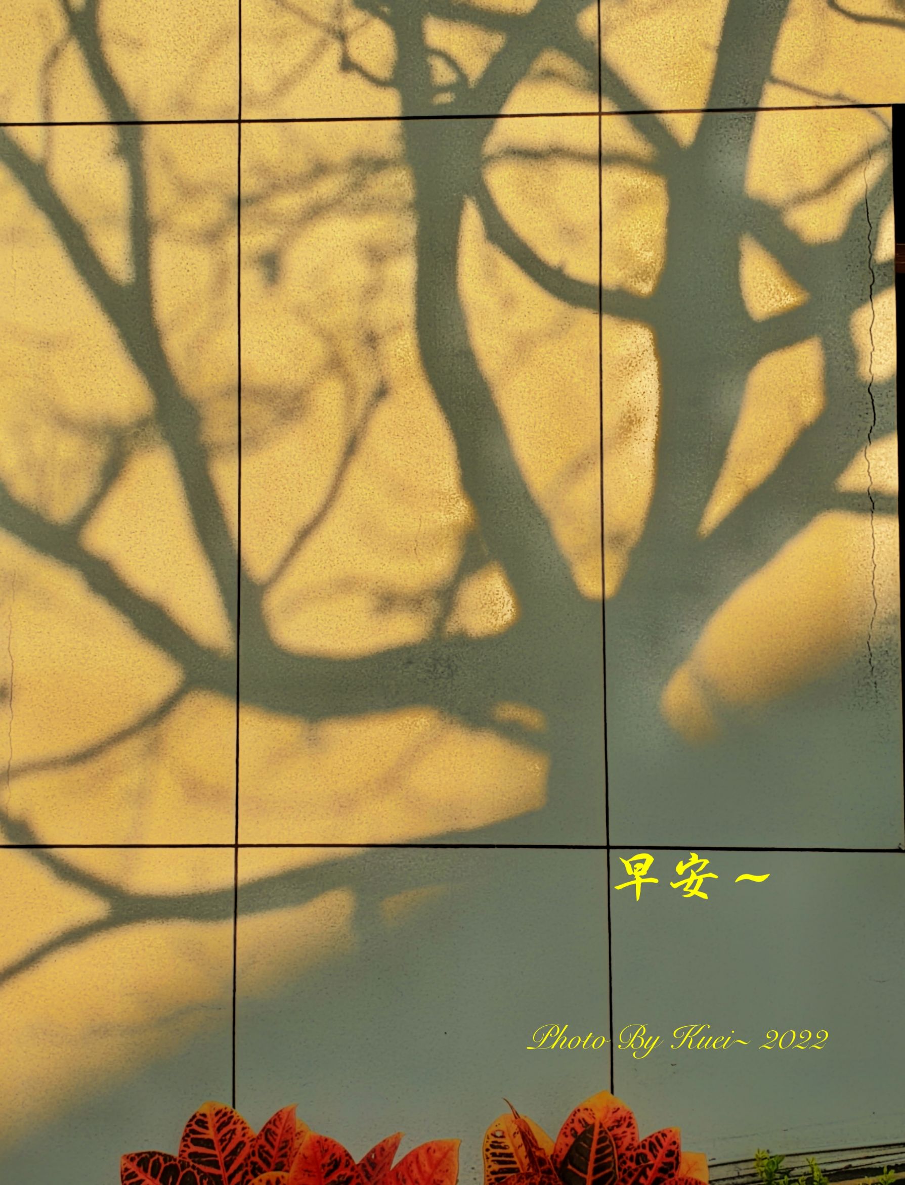 林於貴早安作品20220313.jpg