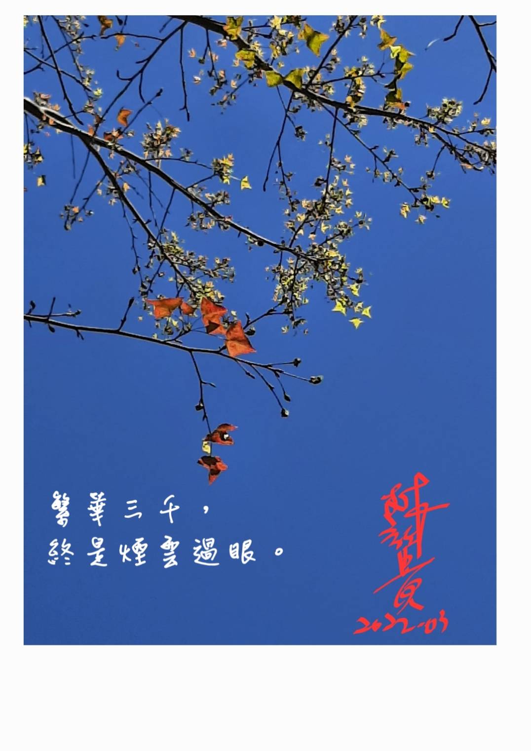 林於貴早安作品20220327a.jpg