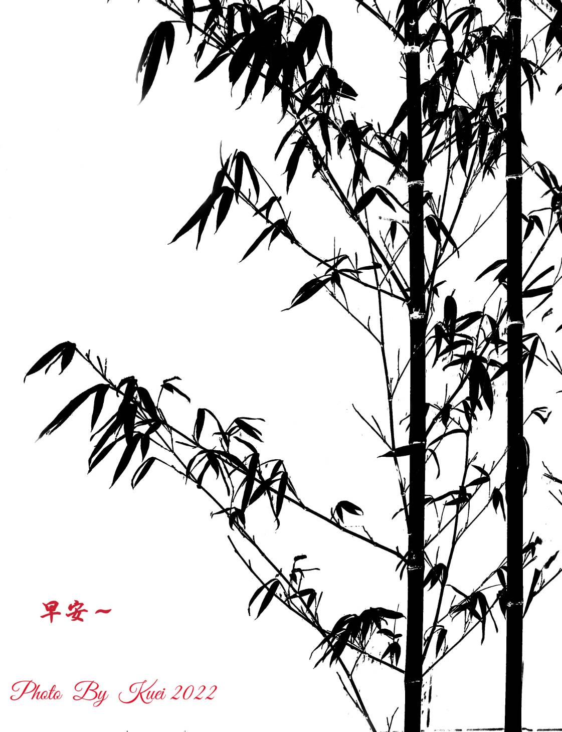 林於貴早安作品20220515.jpg