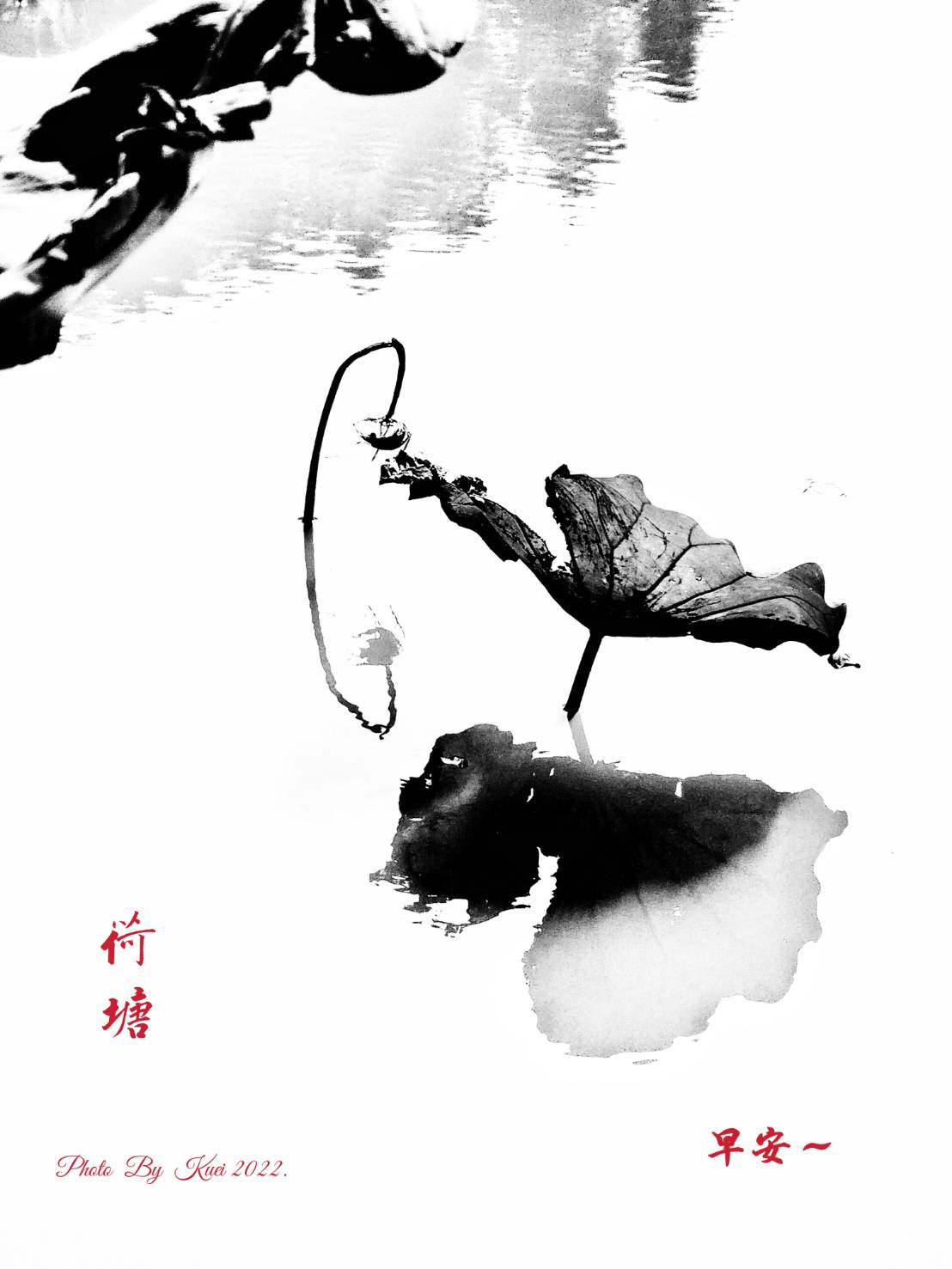 林於貴早安作品20220904.jpg