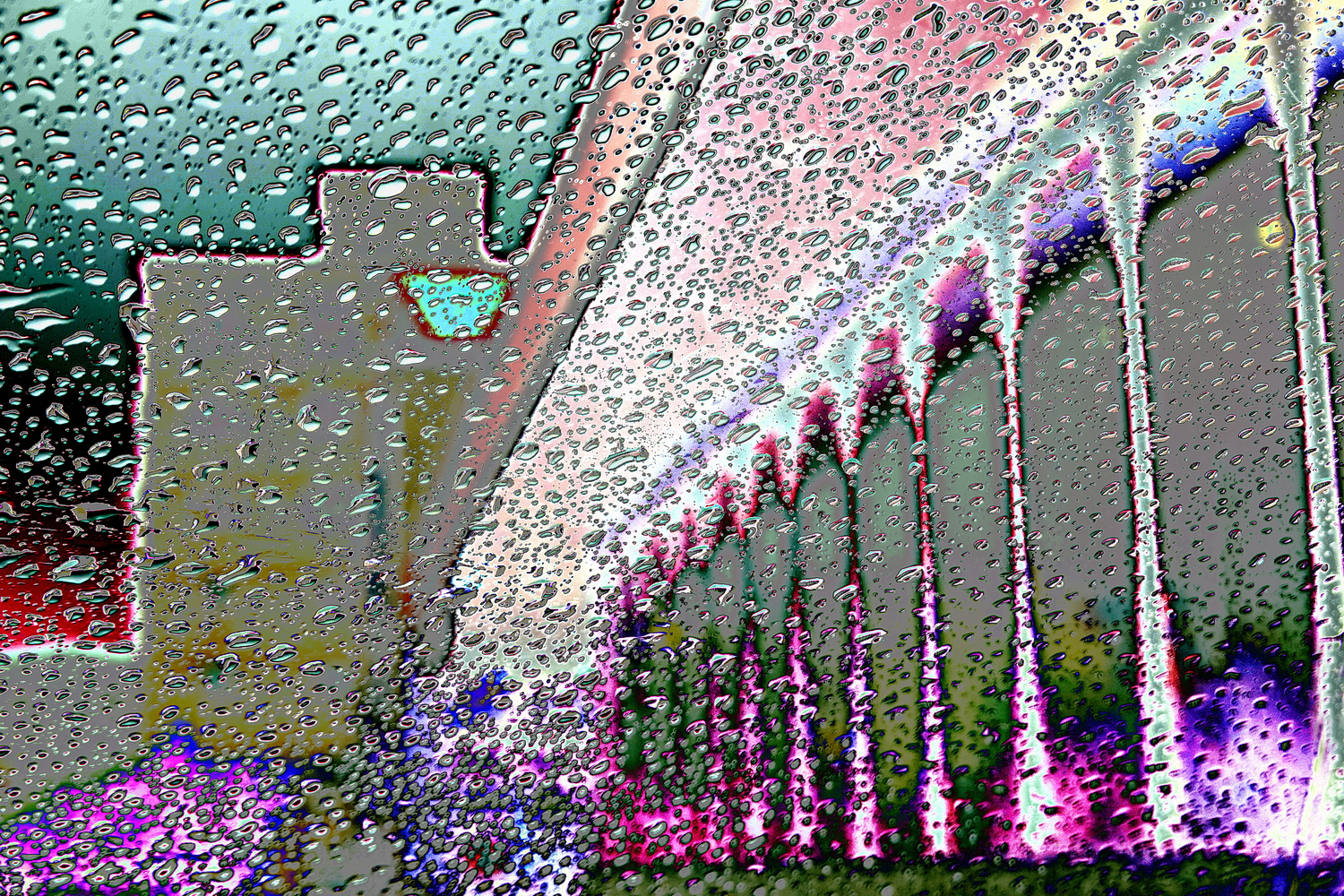 陳永鑑_雨中即景_20220904b.jpg