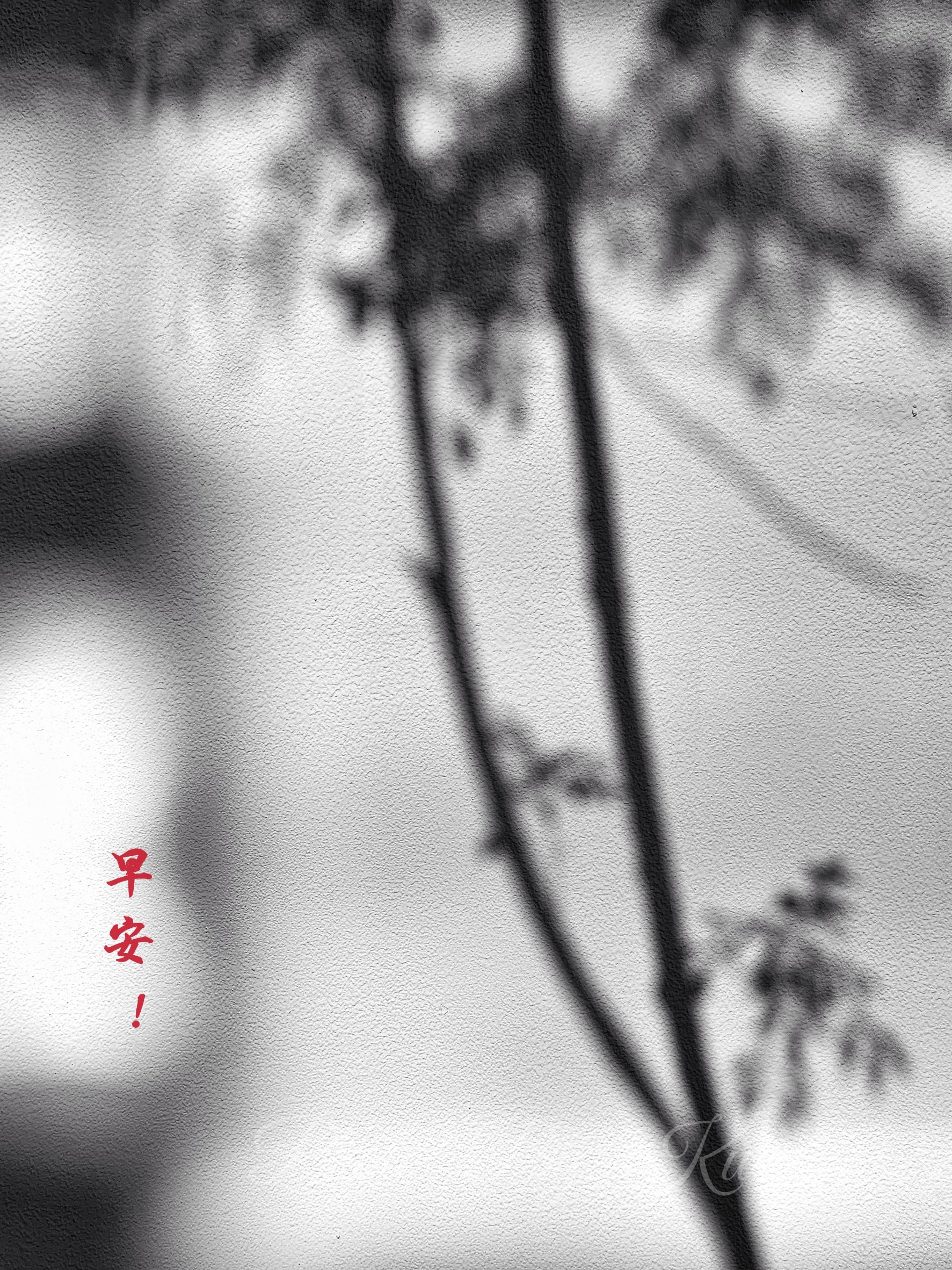 林於貴早安作品20221117.jpg