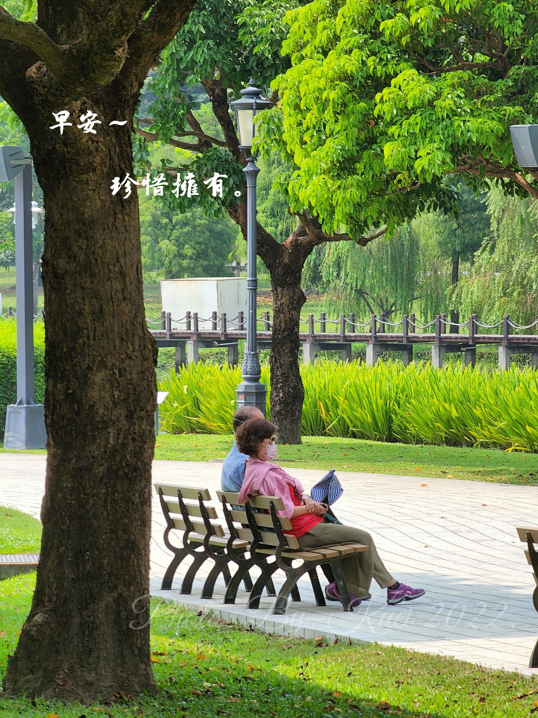 林於貴早安作品20221119.jpg