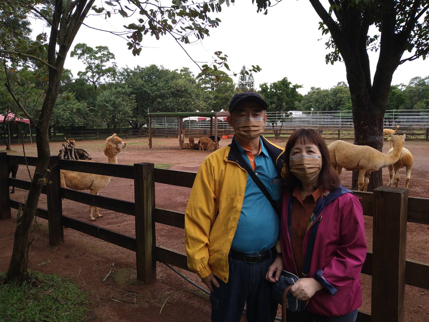 陳永鑑_埔心牧場半日遊_20221129a.jpg