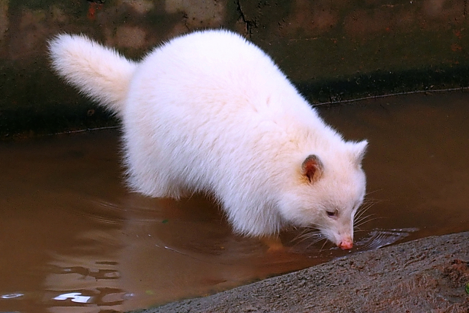 陳永鑑_埔心牧場半日遊_20221201p.jpg