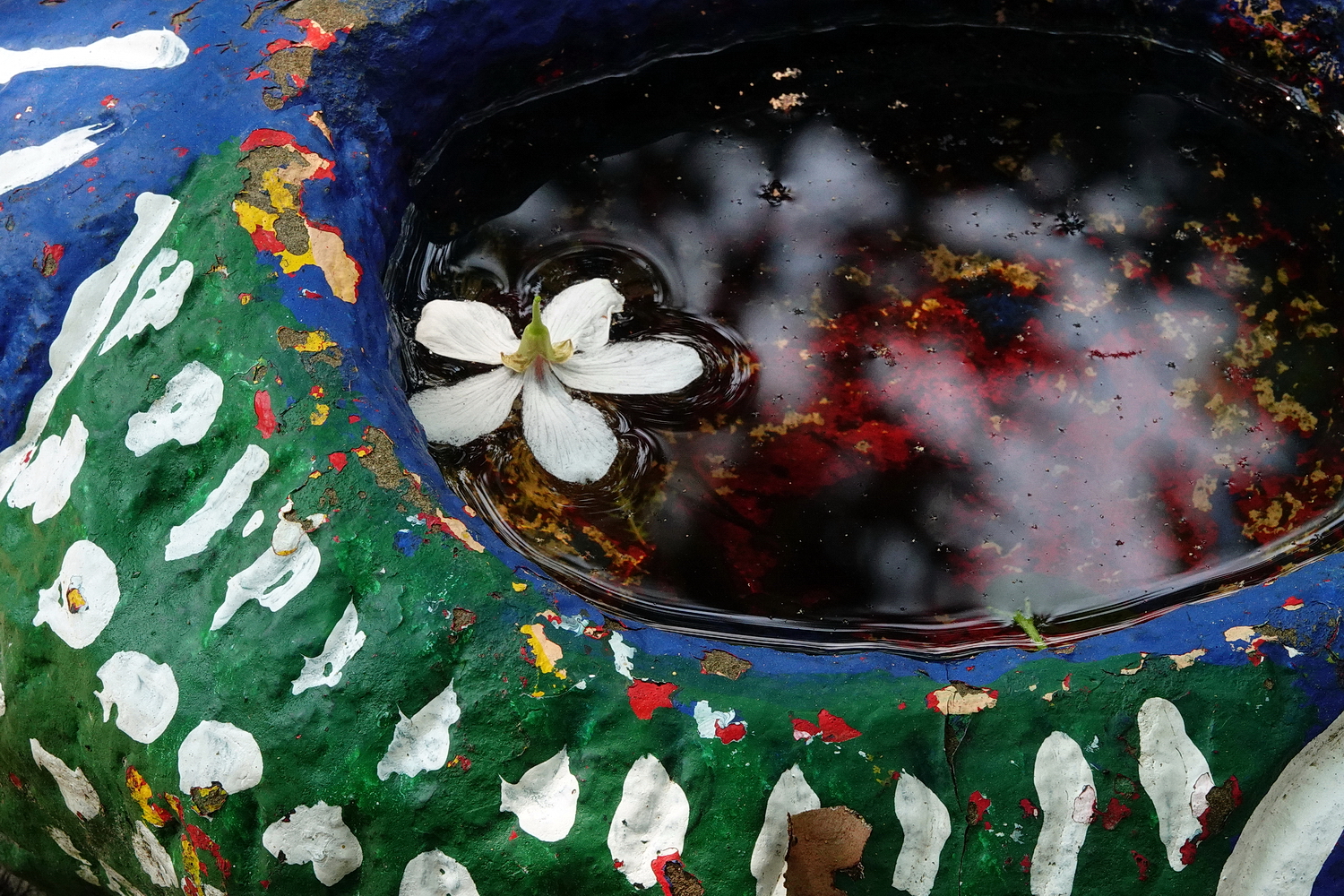陳永鑑_陳永鑑桐花季_20230430a.jpg