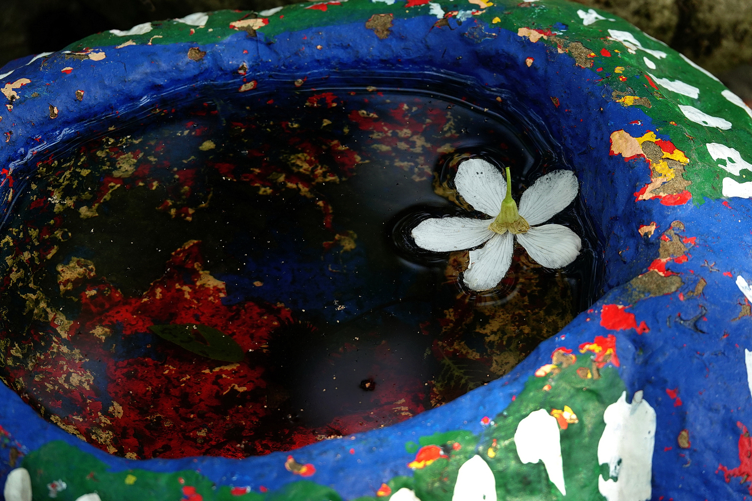 陳永鑑_陳永鑑桐花季_20230430c.jpg