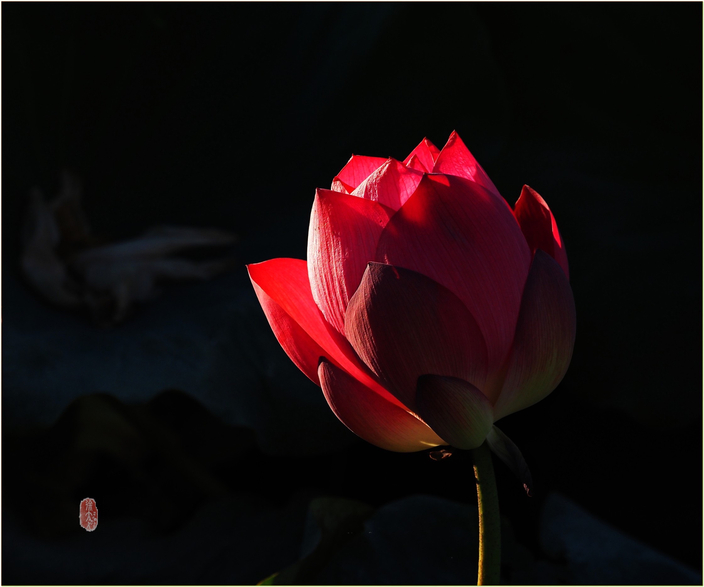S__27845040.jpg
