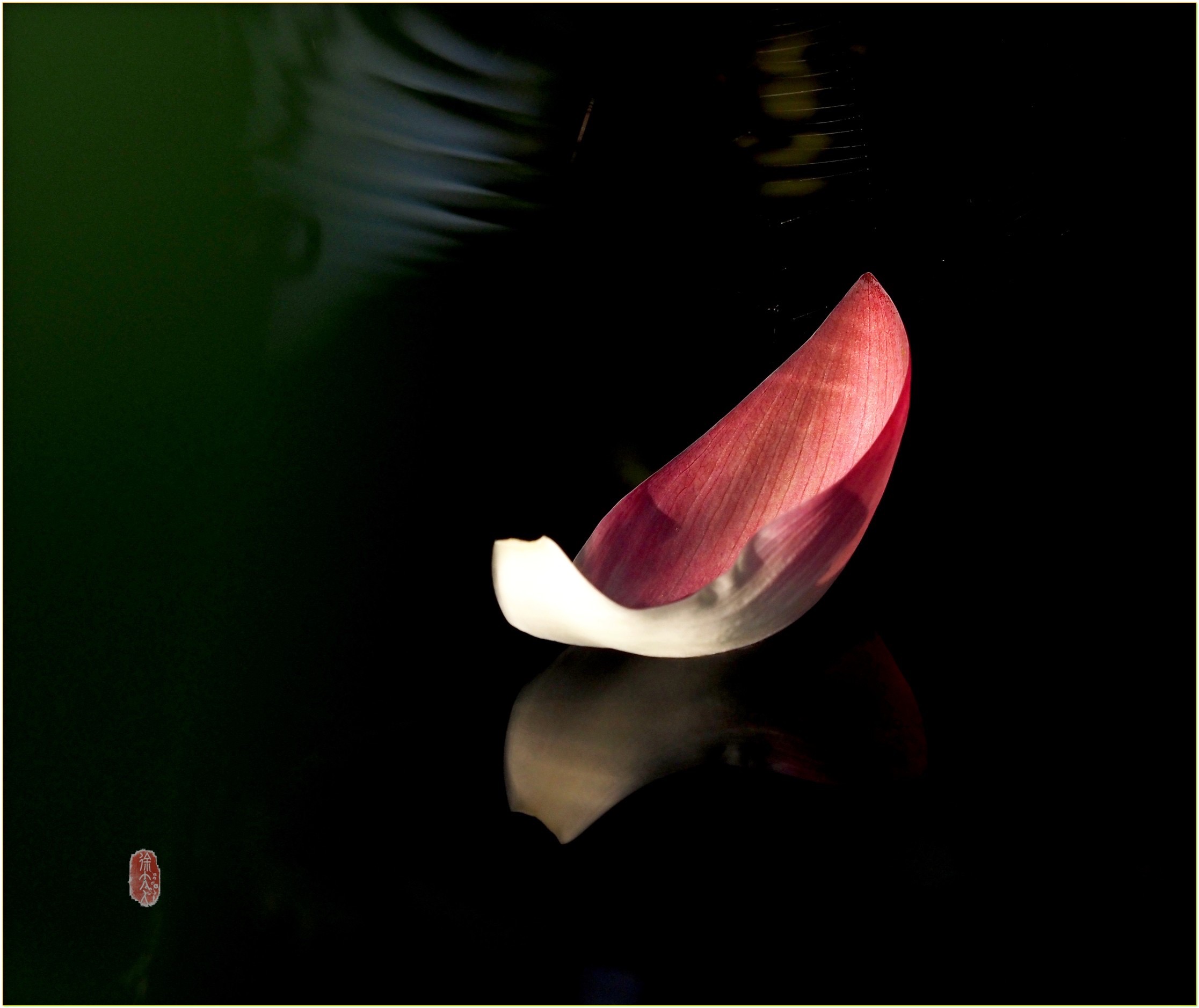 S__27869539.jpg