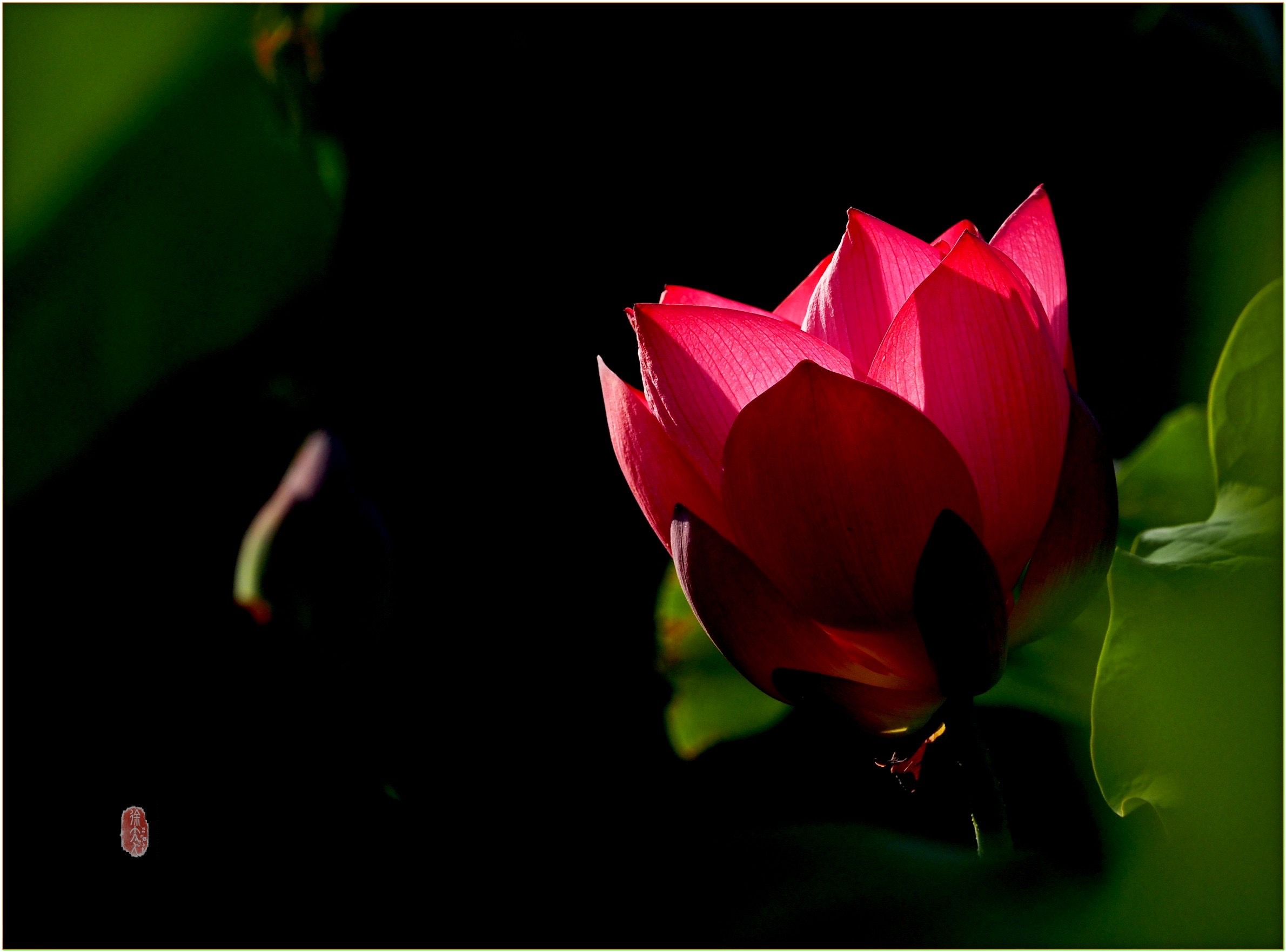 S__27893893.jpg