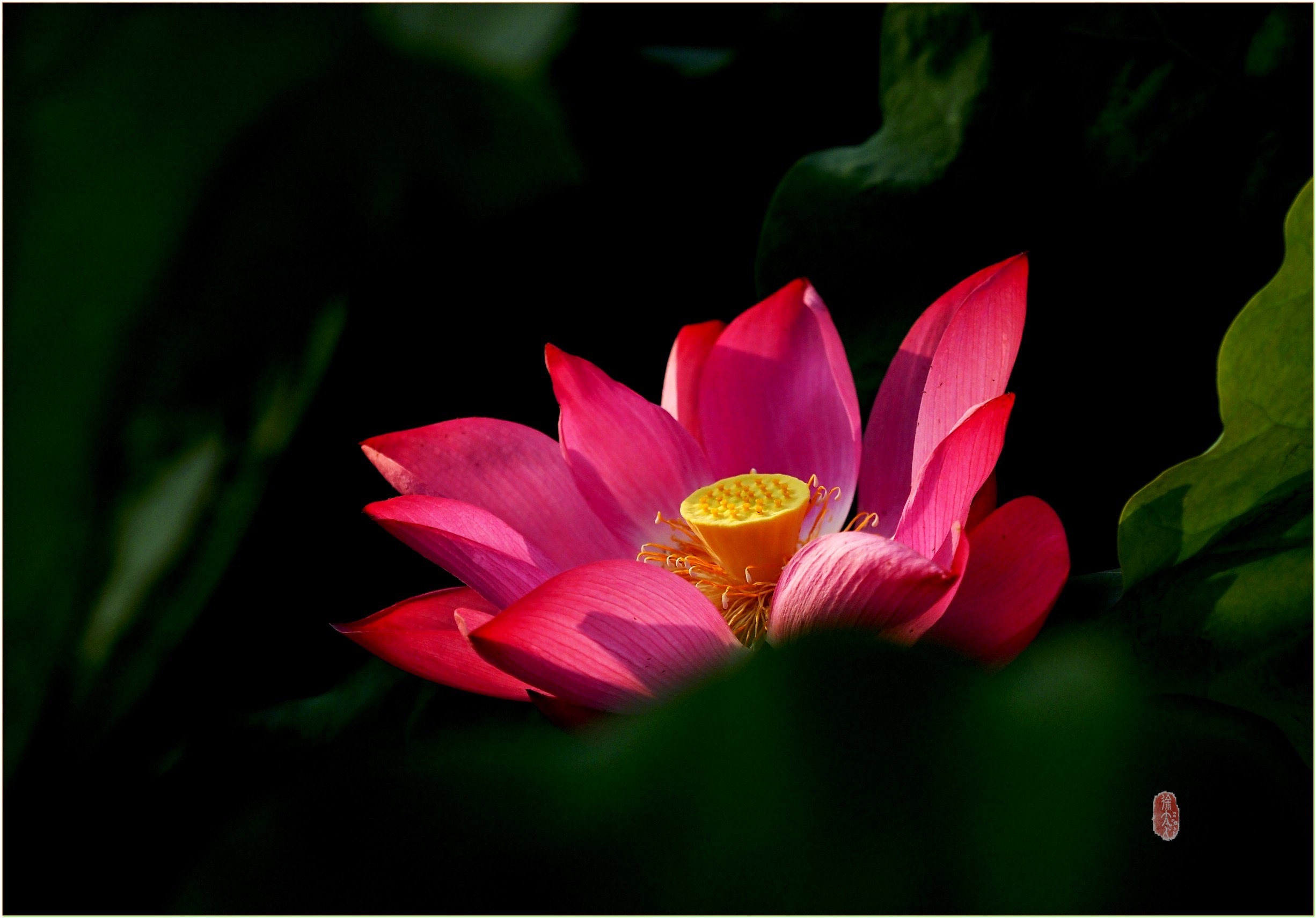 S__27918381.jpg