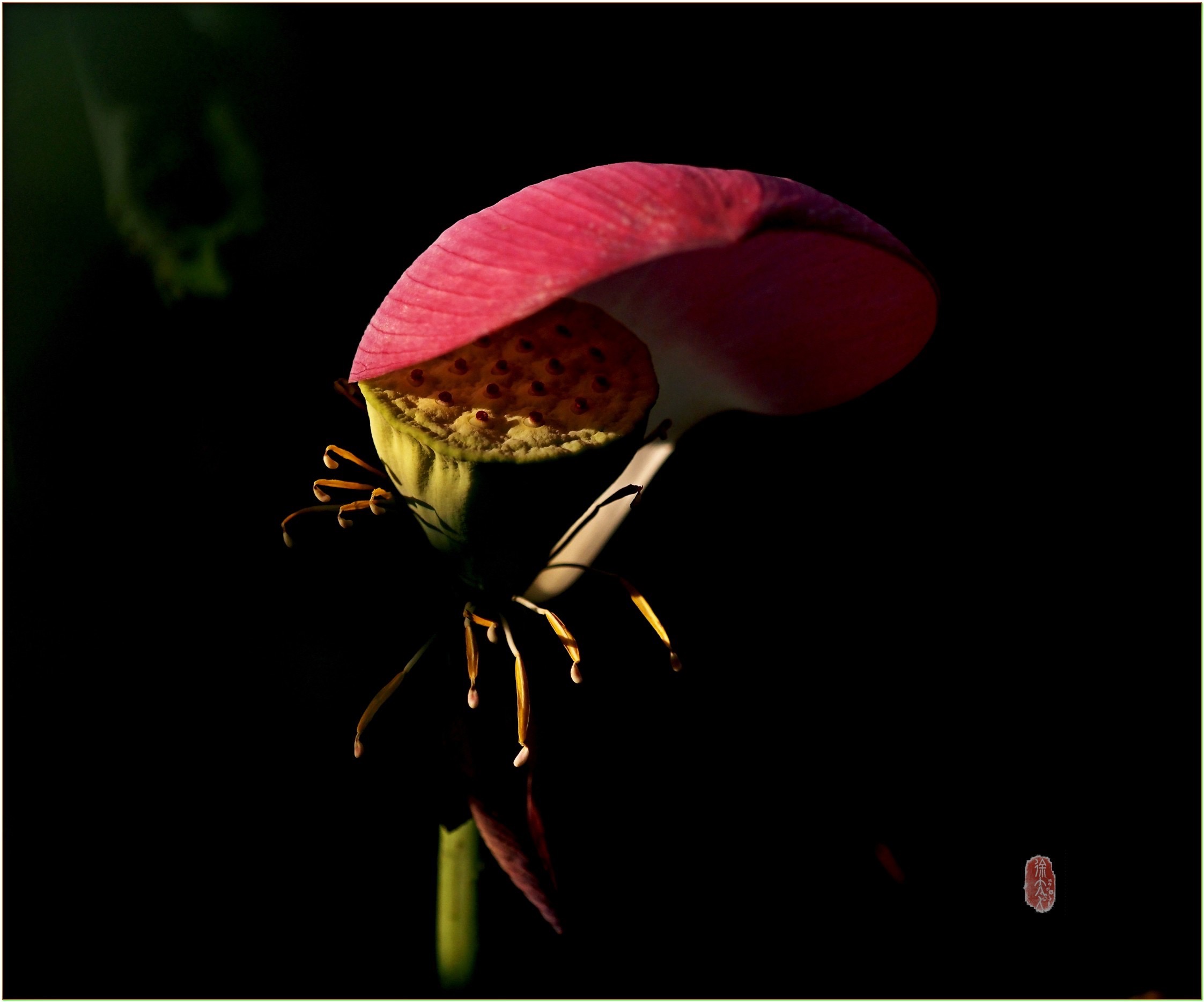 S__27926564.jpg