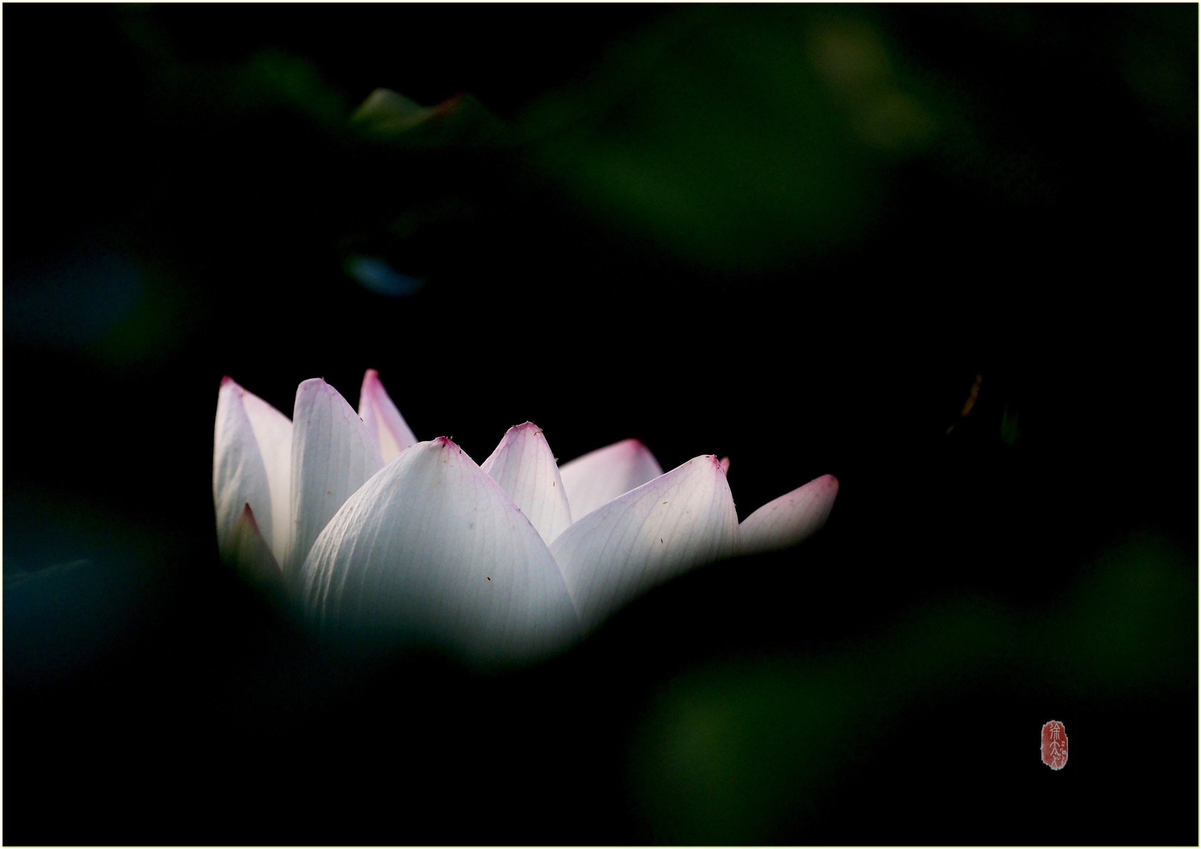 S__27951479.jpg