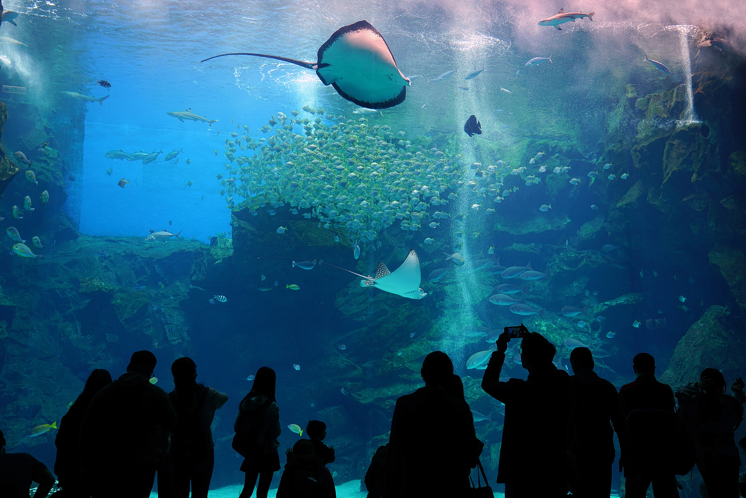 陳永鑑水族館20231203b.jpg