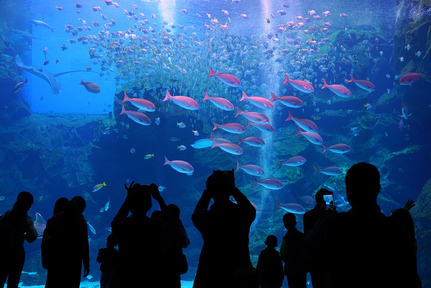 陳永鑑水族館20231203a.jpg