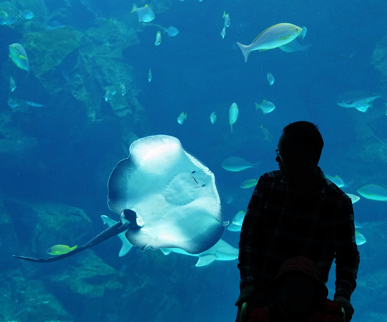 陳永鑑水族館20231211a.jpg