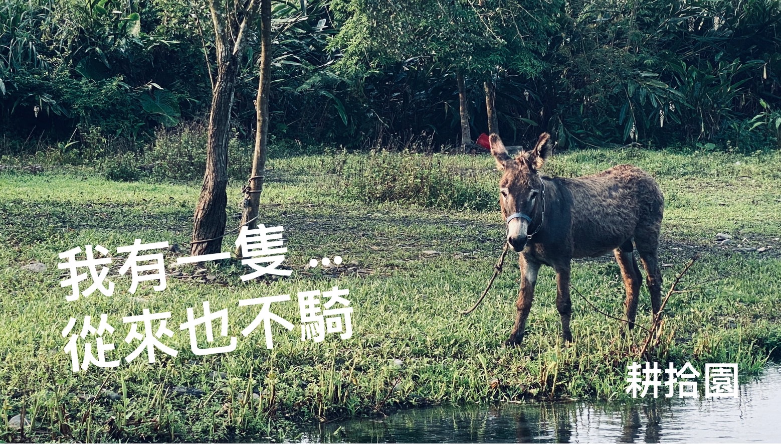 鄭育宏早安作品20240511.jpg