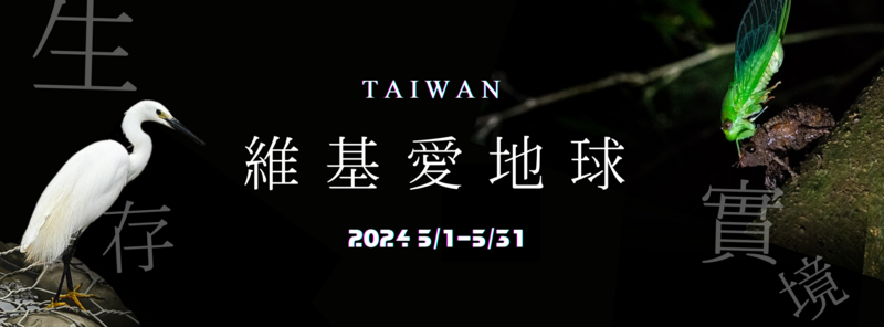 T130531C.png