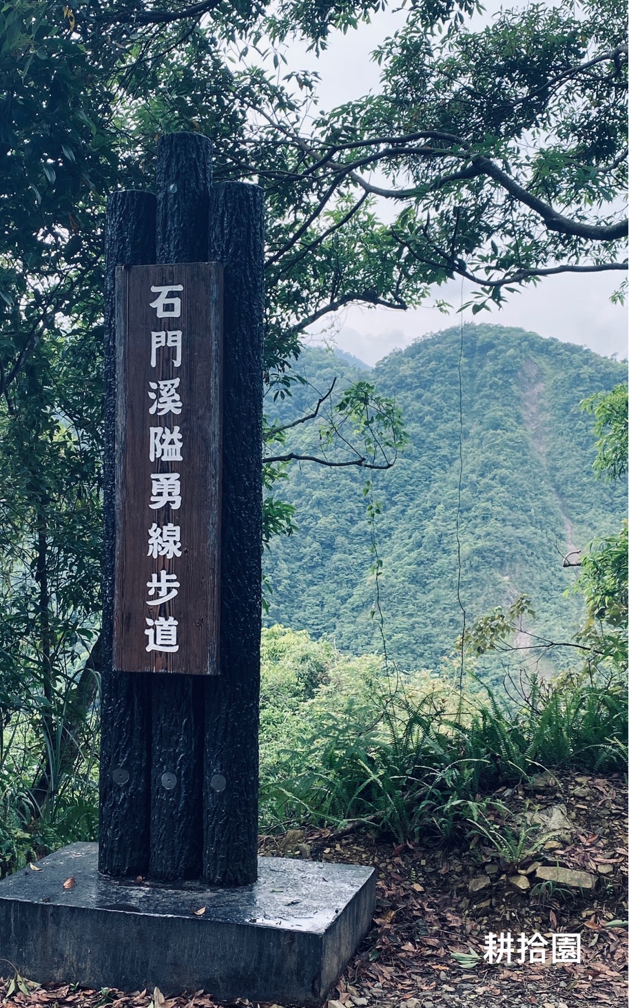 鄭育宏早安作品20240530a.jpg