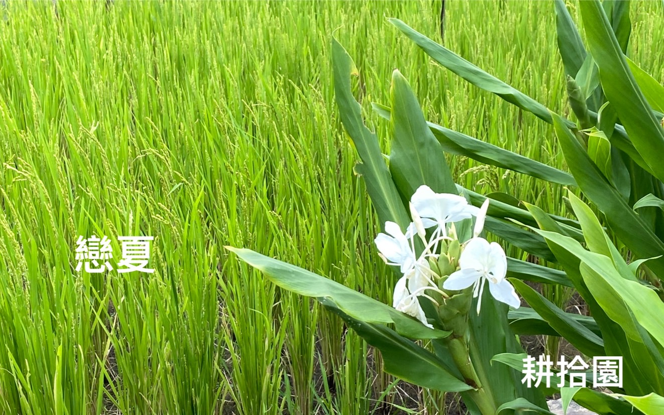 鄭育宏早安作品20240613.jpg