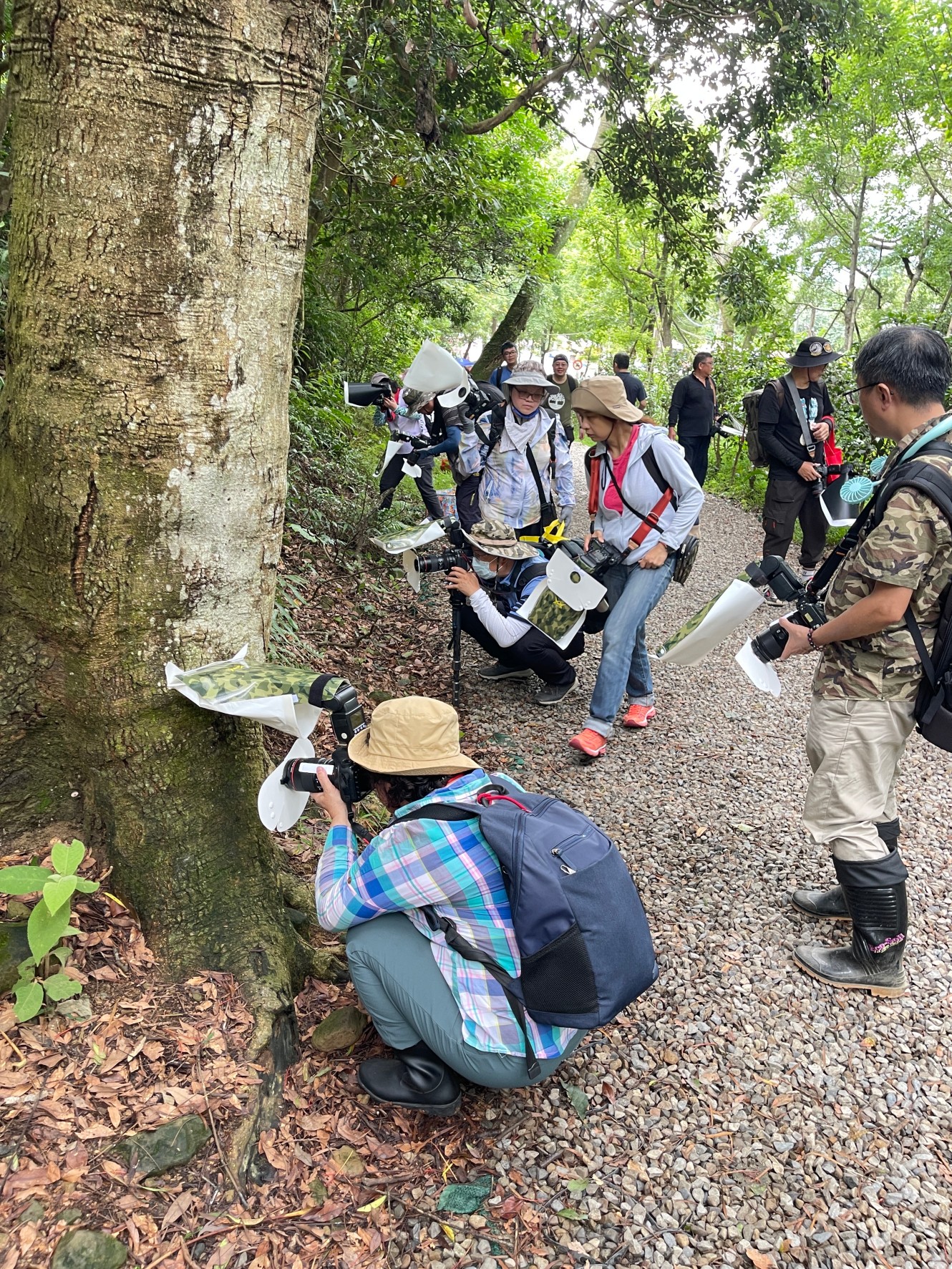 LINE_ALBUM_202469呂明俊老師微距專題班石門步道外拍花絮_240616_6.jpg