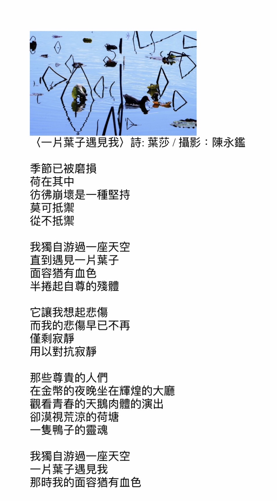 〈一片葉子遇見我〉o.jpg