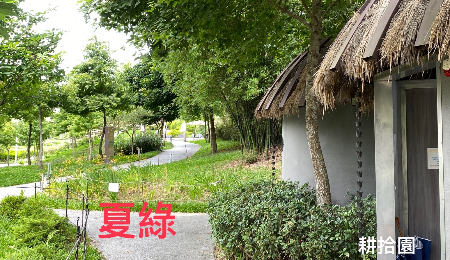 鄭育宏早安作品20240626.jpg