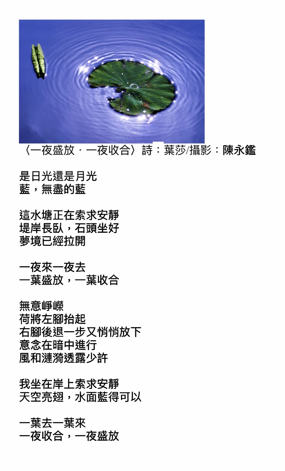 一夜盛放。一夜收合o.jpg