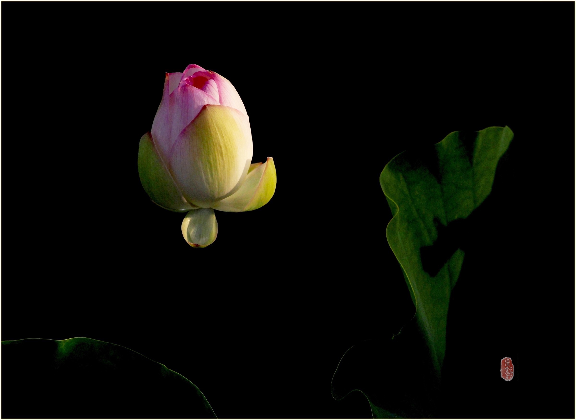 S__28950884.jpg