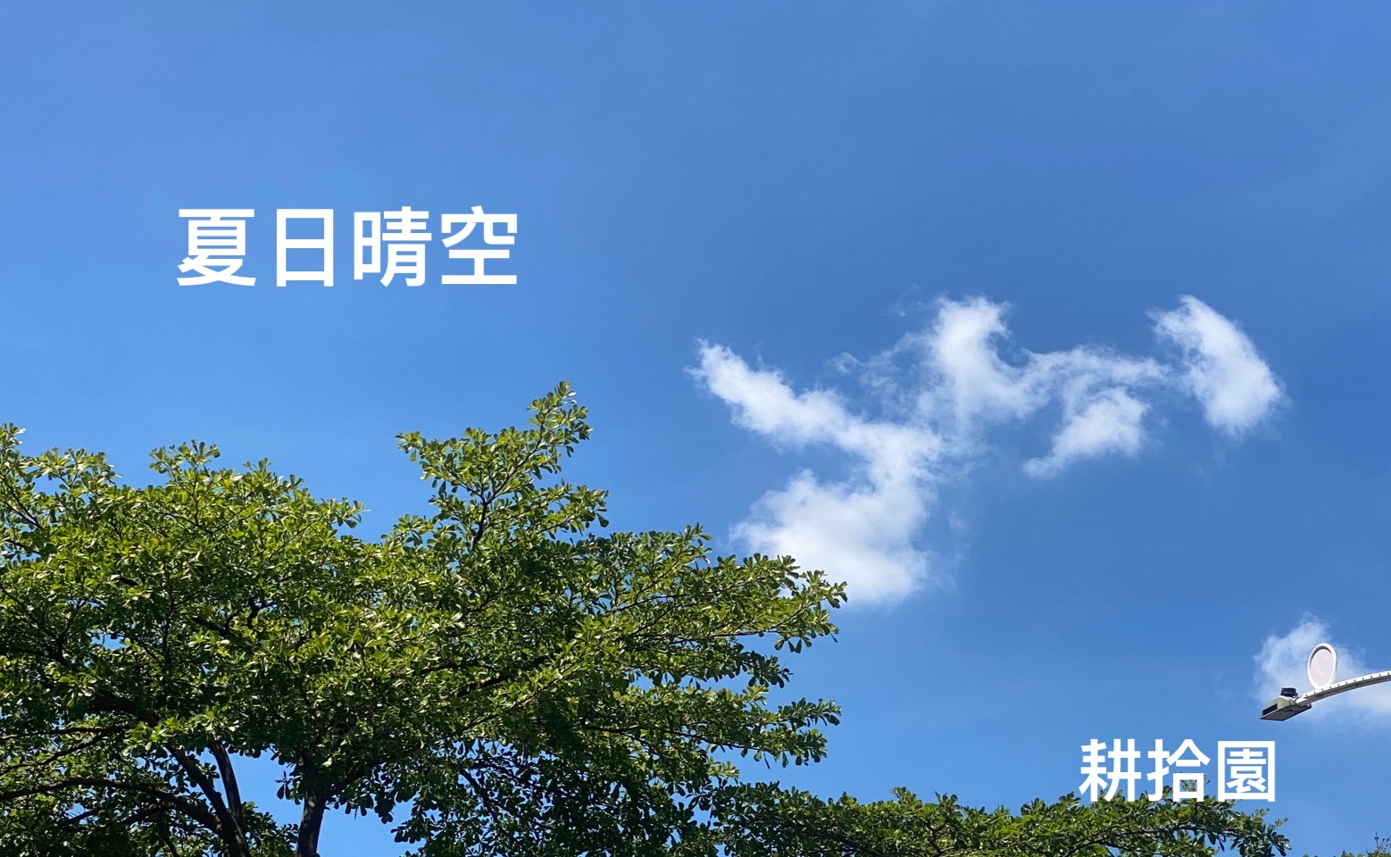 鄭育宏早安作品20240713.jpg