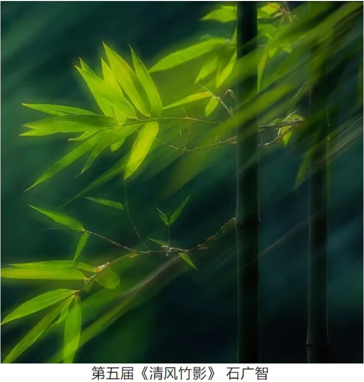 中國攝影最高獎-金像獎e.jpg