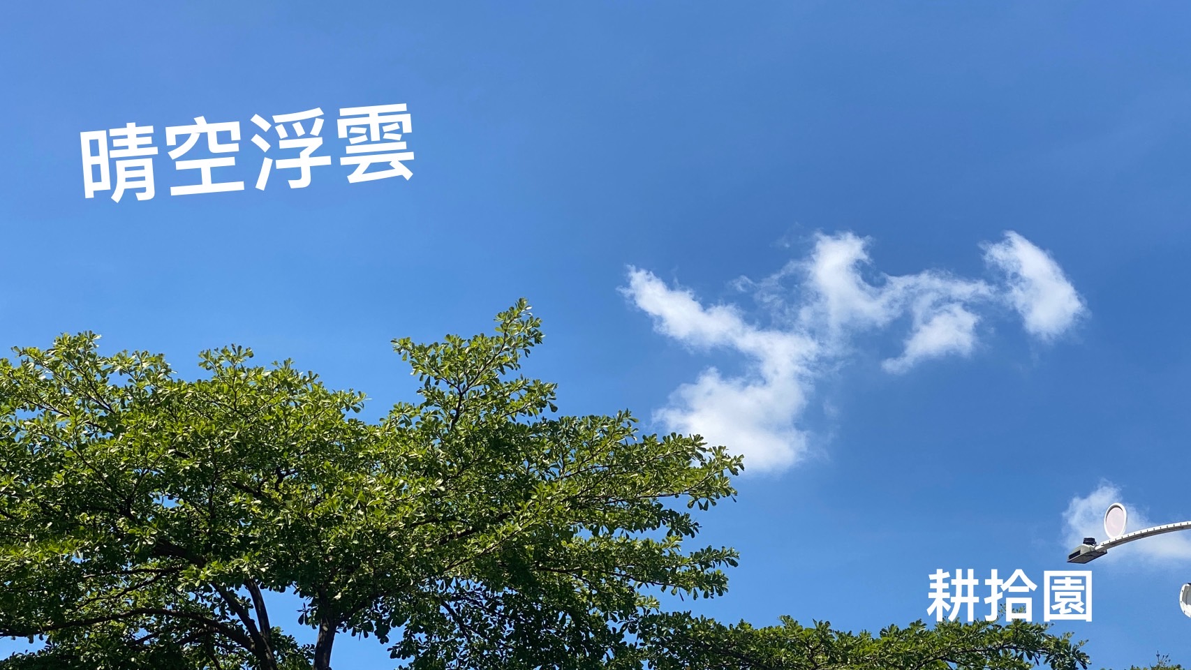 鄭育宏早安作品20240717.jpg