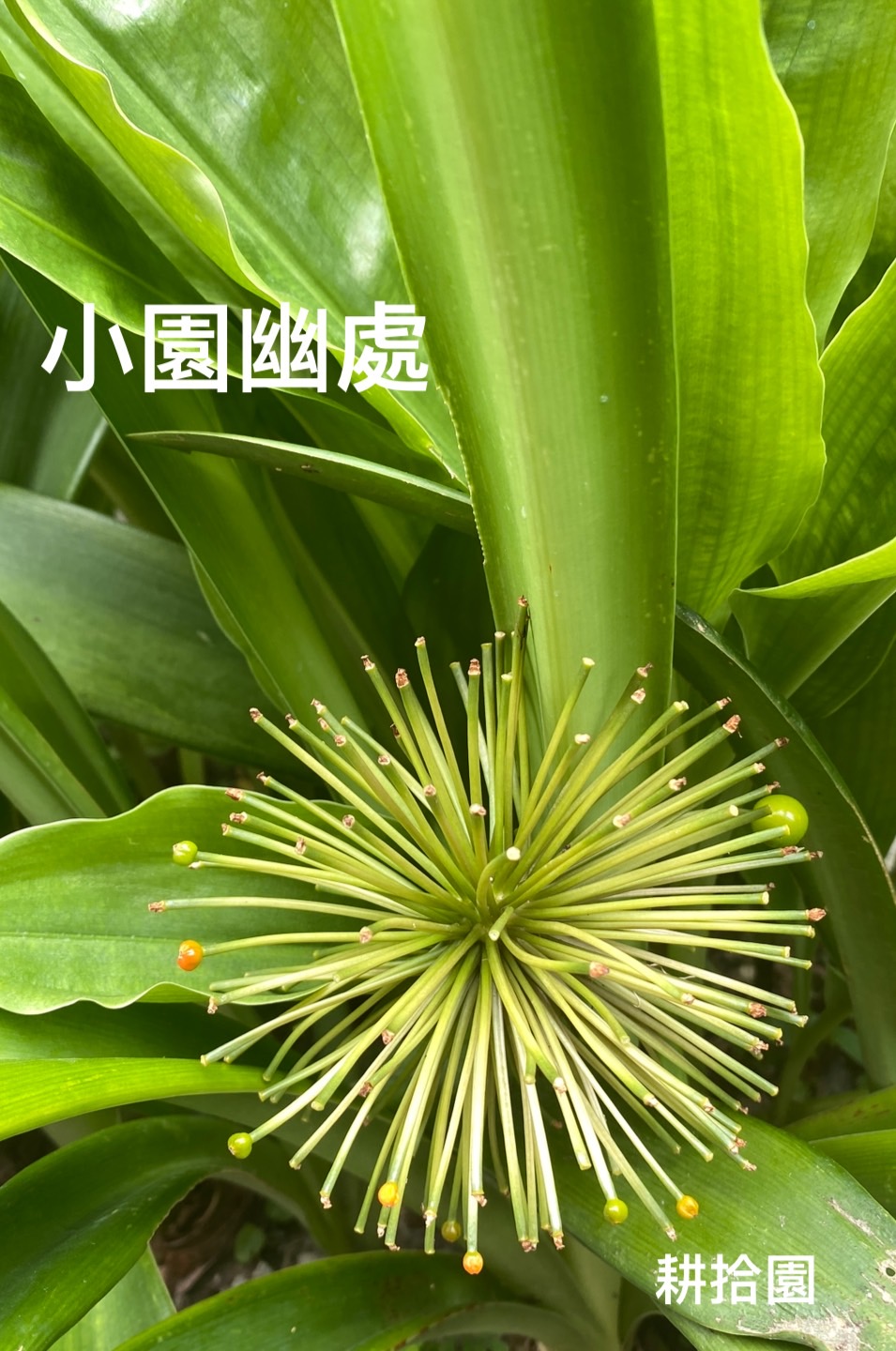 鄭育宏早安作品20240716.jpg