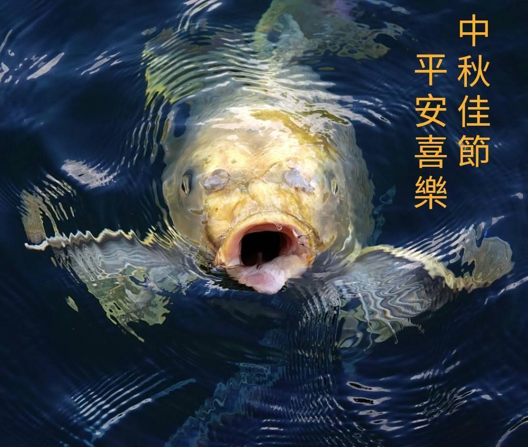 陳老師_有感而發20240917b.jpg