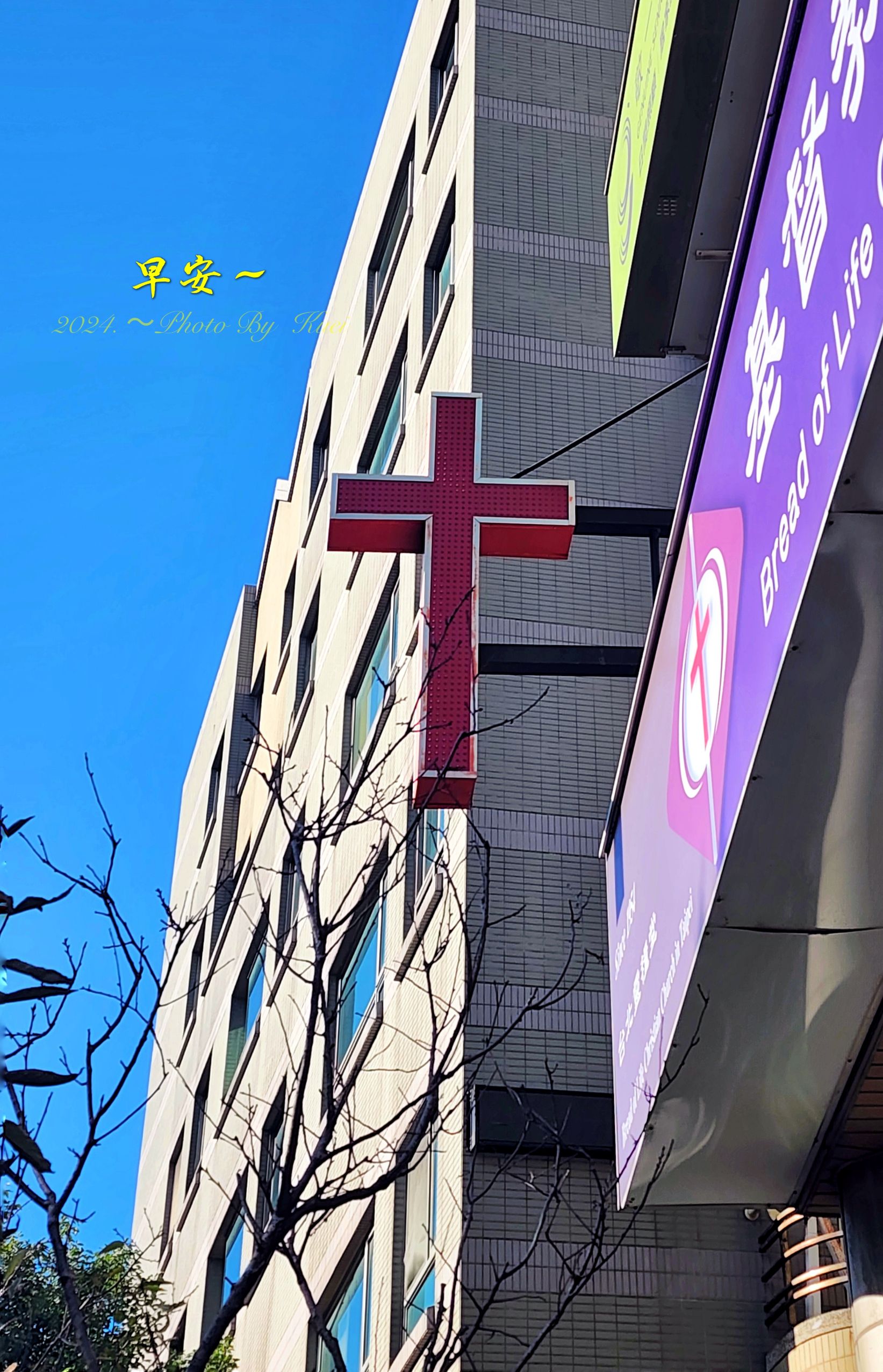 林於貴早安作品20241219.jpg
